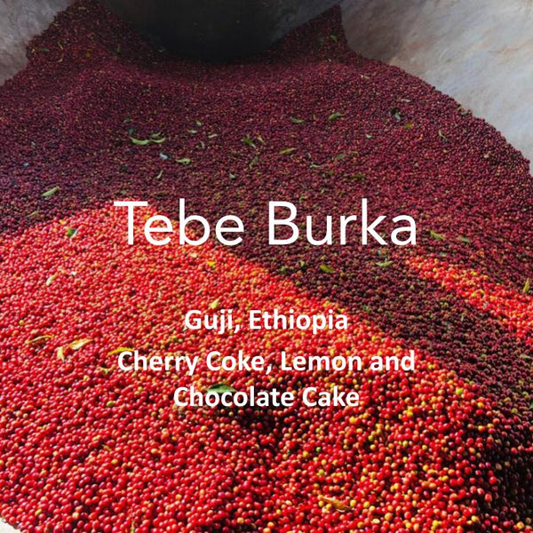 Ethiopia Tebe Burka